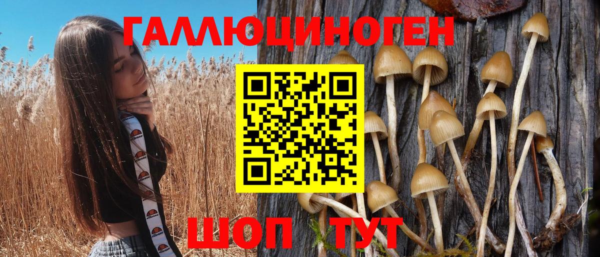 Галлюциногенные грибы Magic Shrooms  Вход с VPN  где продают   Жуковский 