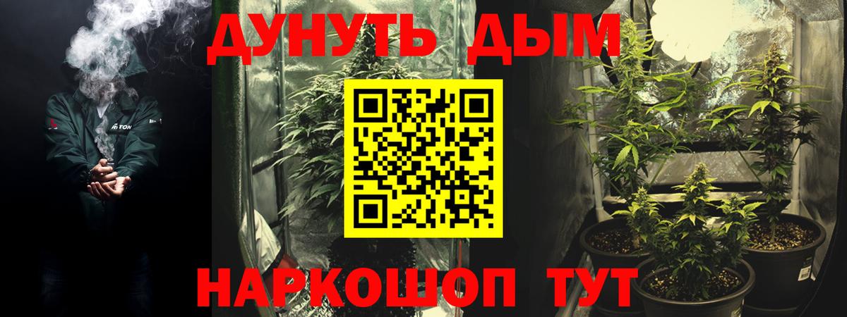 Канабис SATIVA & INDICA Жуковский